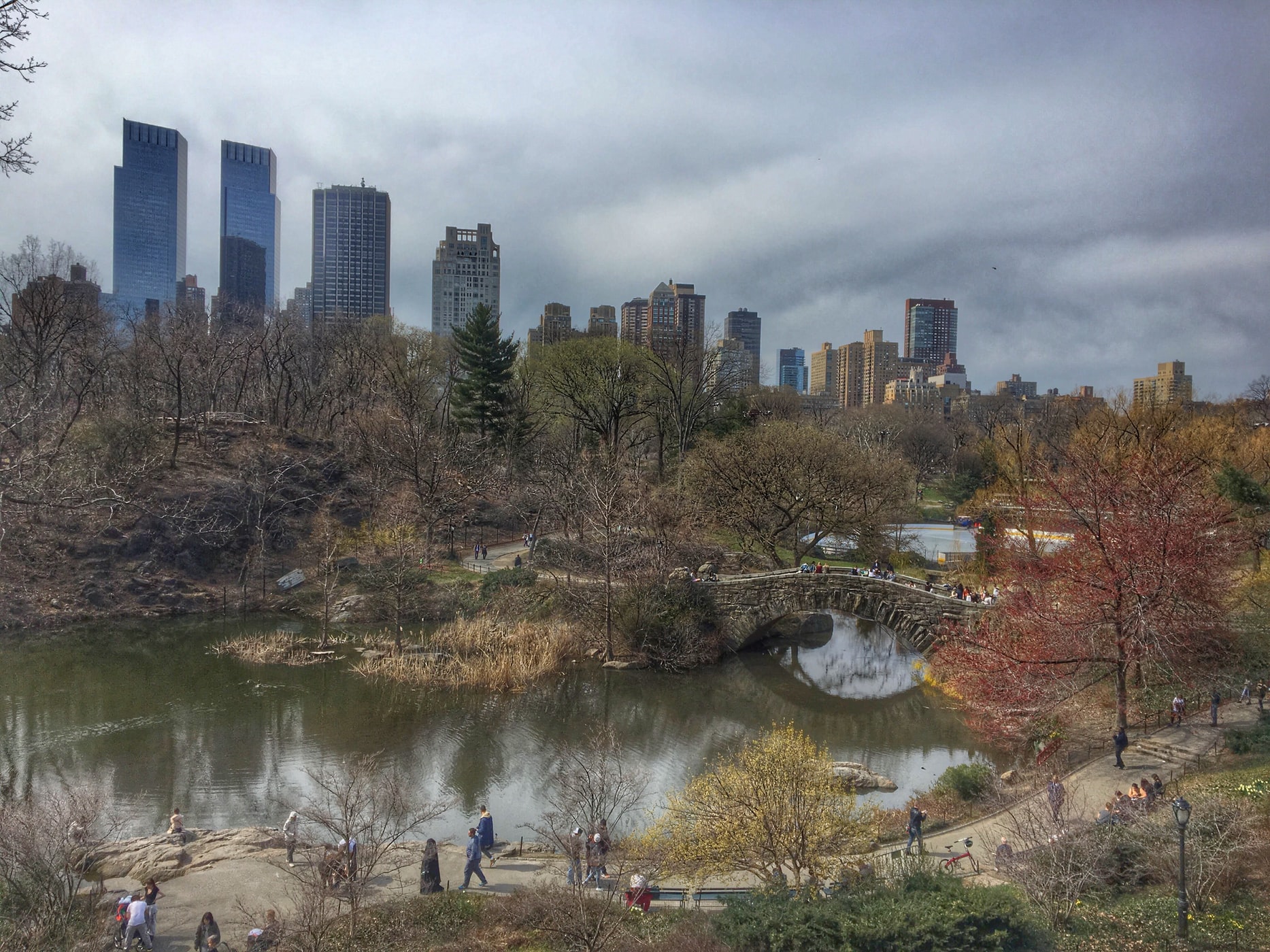 ny central park